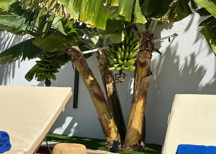 - Heated Pool, Aircon *